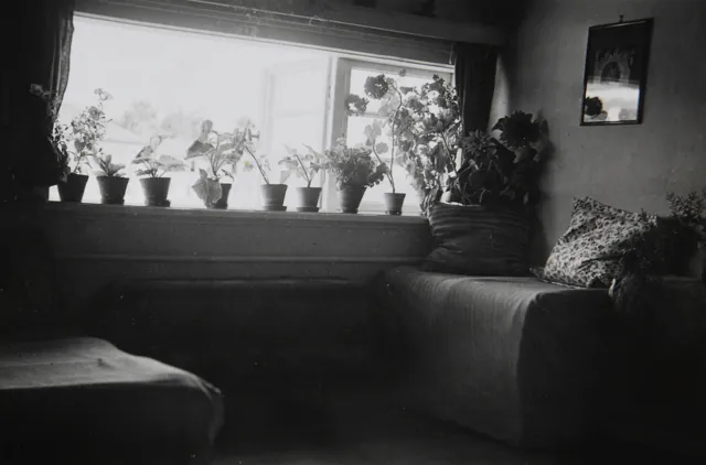 Ein Bett am Blumenfenster