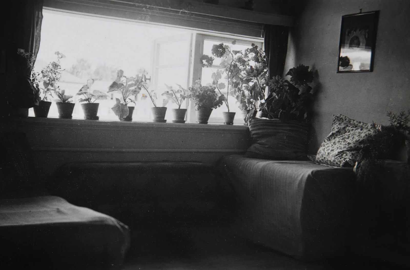 Ein Bett am Blumenfenster
