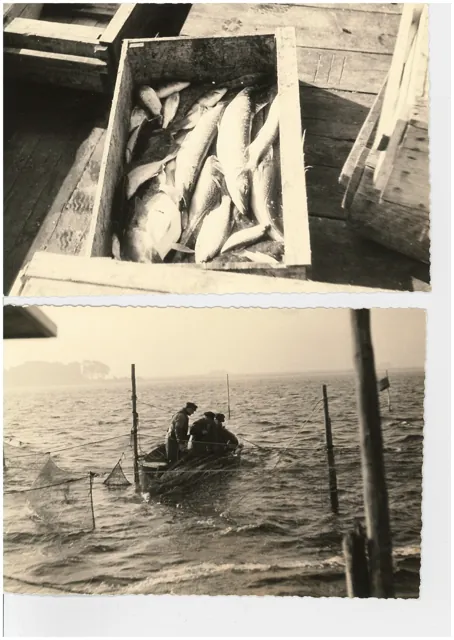 Fische in der Kiste und ein Boot im Wasser