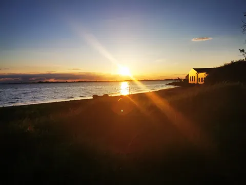 Abendlicht am Bodden
