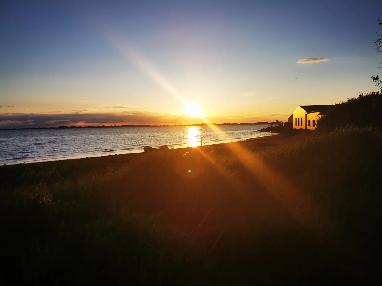 Abendlicht am Bodden