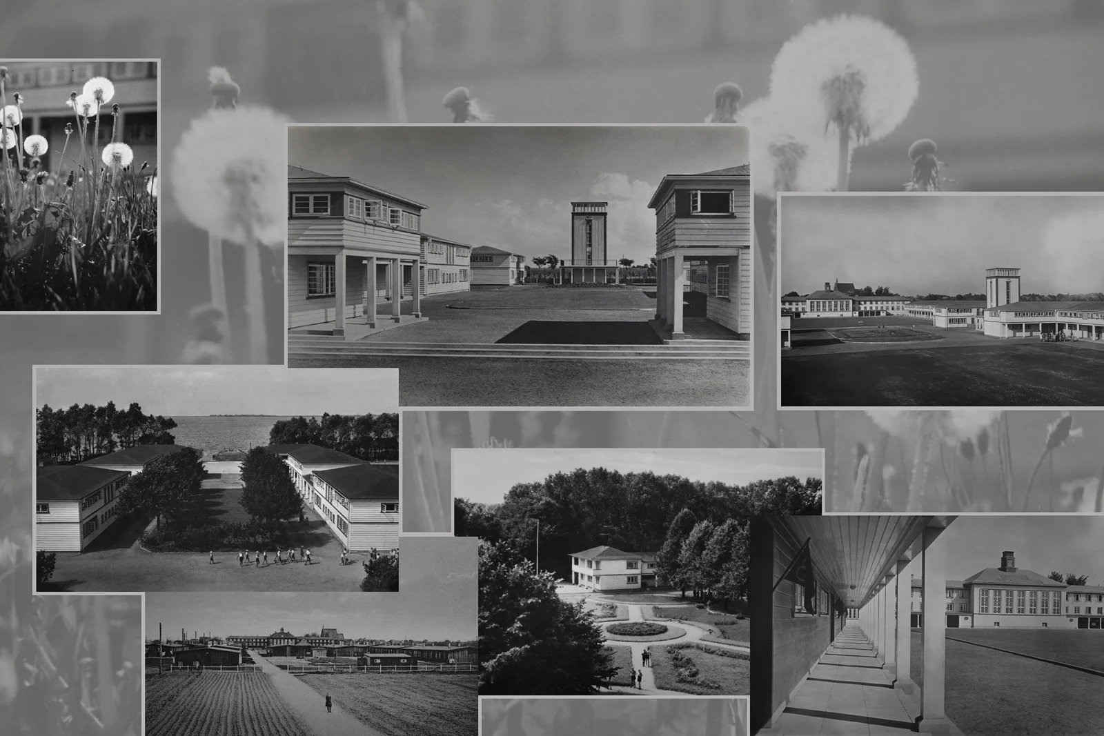 Collage: Gebäude, Wege und Garten